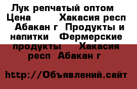 Лук репчатый оптом › Цена ­ 16 - Хакасия респ., Абакан г. Продукты и напитки » Фермерские продукты   . Хакасия респ.,Абакан г.
